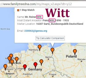 FTDNA Witt match