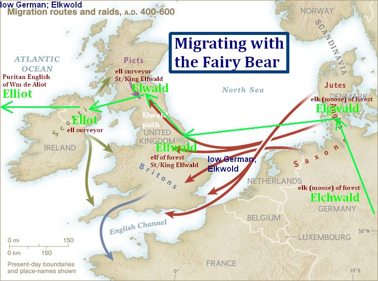 Migrating-with-the-Fairy-Bear