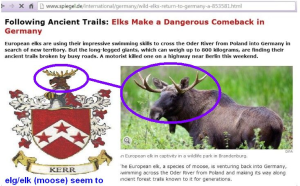 elg-elk-moose-Kerr