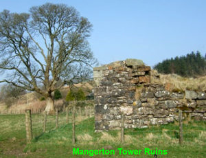 Mangerton Tower Ruins