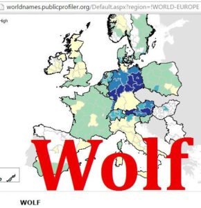 Wolf distribution