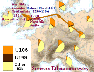y-dna U106 Ro Elwald -ethnoancestry