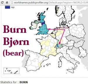Burn distribution Europe