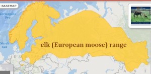 European Elk (moose) range