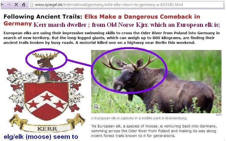 elg-elk-moose-Kerr