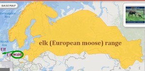 European Elk (moose) range