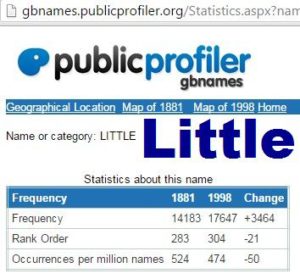 Little surname statistics