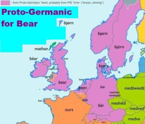 Proto-Germanic for Bear
